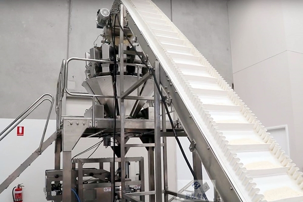 速凍水餃午夜视频免费看720K