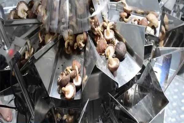 木耳香菇食用菌脫水蔬菜午夜视频免费看