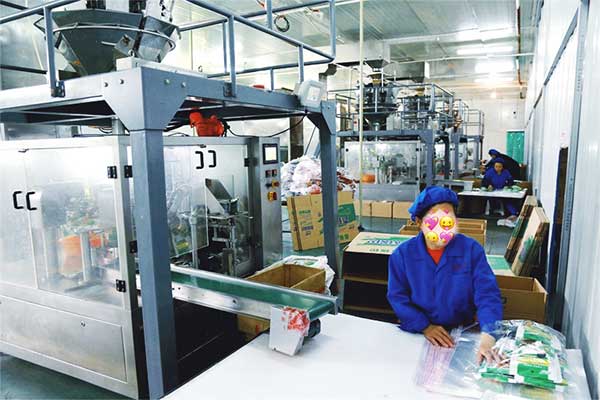 給袋式顆粒全自動午夜视频免费看廠家